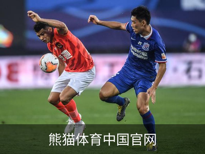 熊猫体育中国官网介绍
